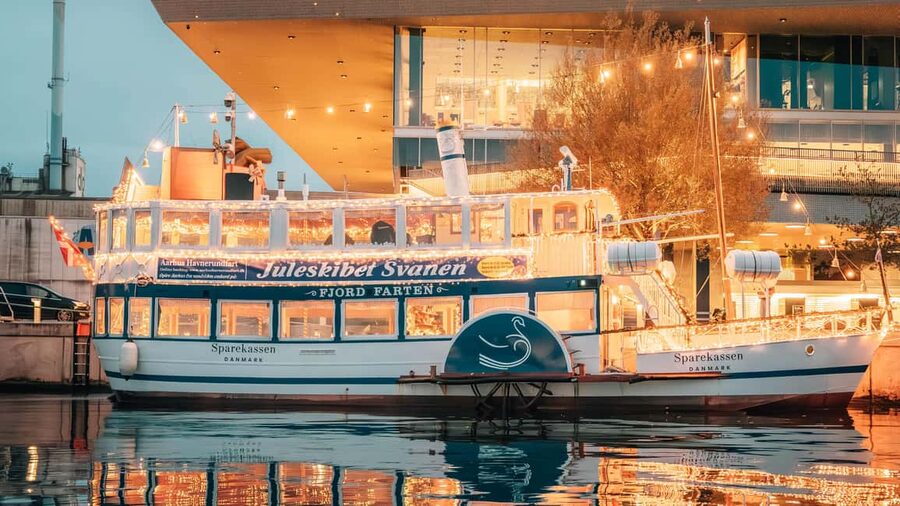 Aarhus: Guided Harbor Cruise with Iconic Landmarks & Aarhus - Is the $23 price good value?