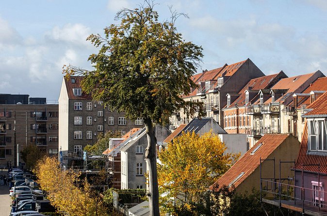 Aarhus Private Custom Walking Tour With A Guide - Street art and the useful detours