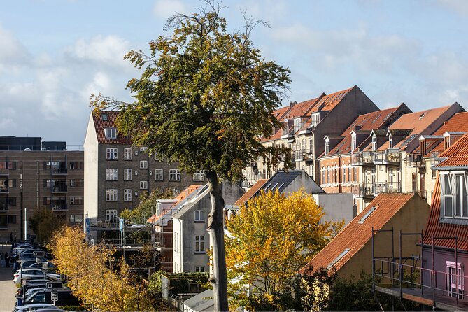 Aarhus Private Custom Walking Tour With A Guide - Musikhuset Aarhus and the art question