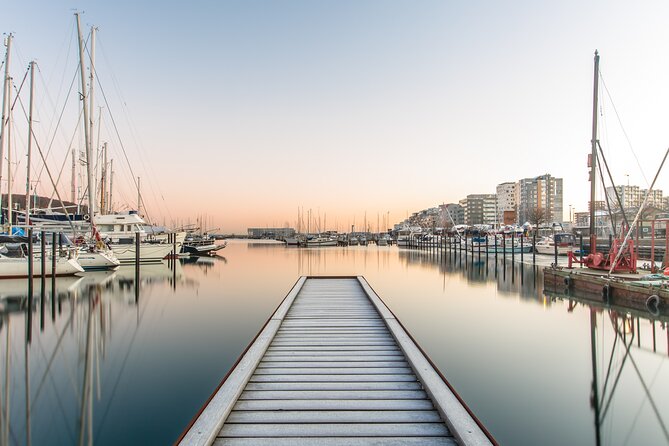 Aarhus Private Walking Tour with a Local - Pace, weather, and practical comfort