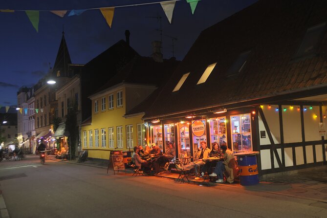 Aarhus Walking Tour: From Viking Village to Metropolis - Who will get the most from this walk