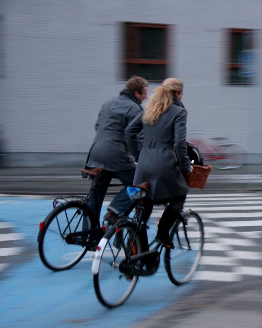 Best of Copenhagen Biking Tour-3 Hours, Small Group max 10 - The Little Mermaid and the city’s best-known sights