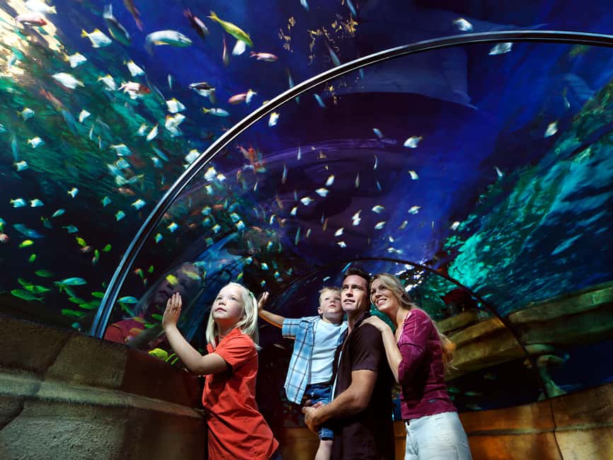 Billund: 1-Day Ticket to LEGOLAND® with All Rides Access - One day is possible, but a full schedule takes discipline