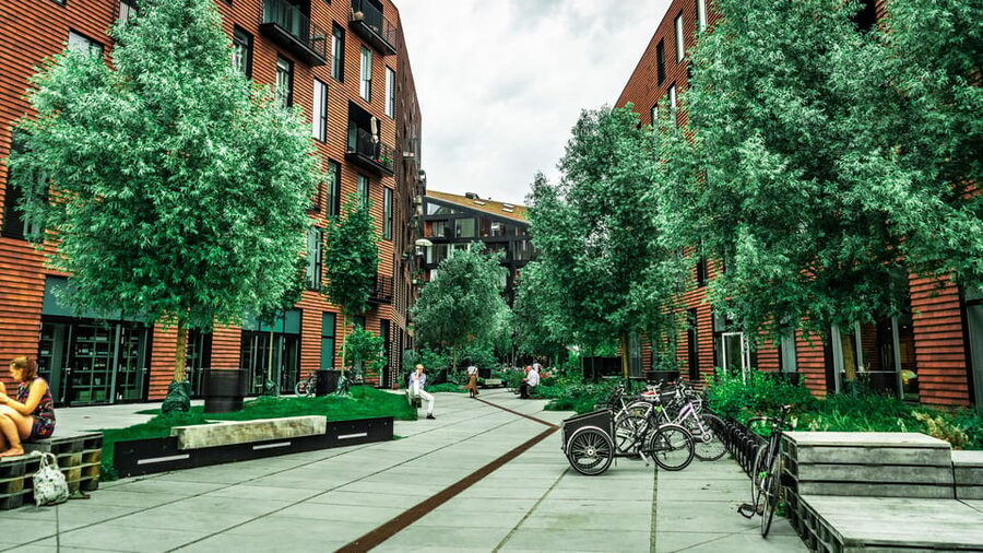 Copenhagen: 1.5-hour Private Walking Tour of Christianshavn - Key points to know before you book