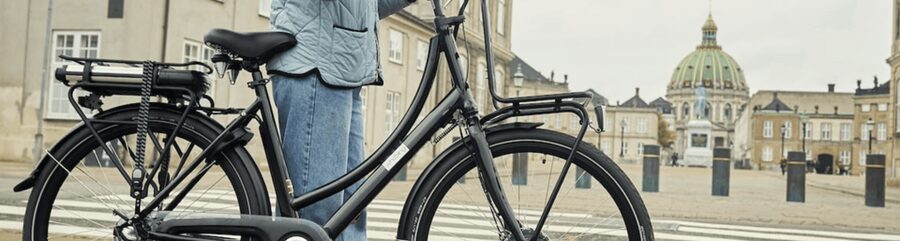 Copenhagen: 3 Hour Extended Grand E-Bike Guided Tour - Key points at a glance