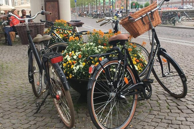 Copenhagen Bicycle Adventure - Rosenborg Castle and Kongens Have