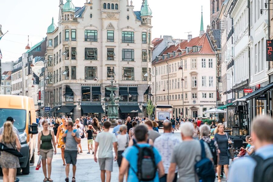 Copenhagen City & Christiansborg Palace Private Walking Tour - What the Guide Can Add