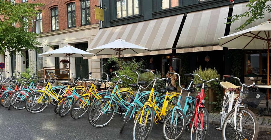 Copenhagen: City Highlights Guided Bike Tour - The guides make the short format work