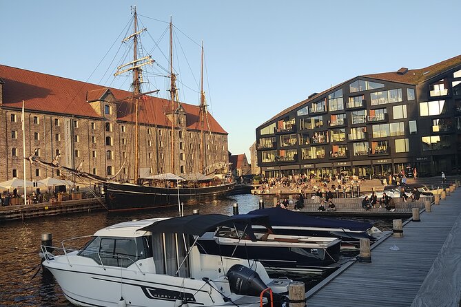 Copenhagen: Harbor Architecture Private Walking Tour - Looking across at the Opera House