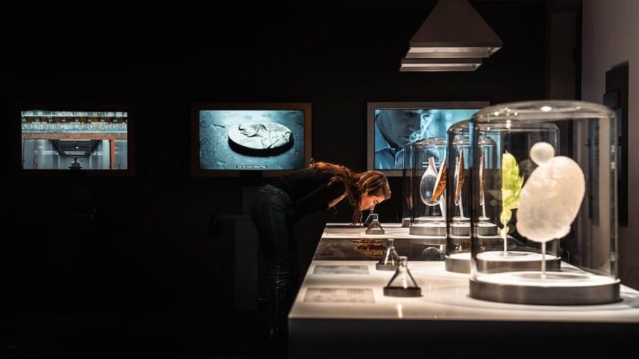 Copenhagen: Home of Carlsberg Experience Entry Ticket - The old cellars and optional beer tasting
