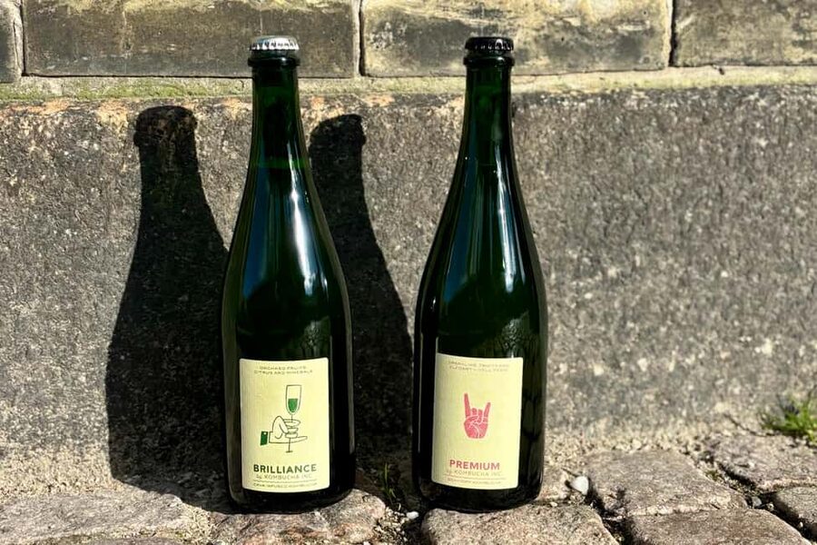 Copenhagen: Locally Brewed Kombucha Tasting Experience - The Value of $46 Per Person