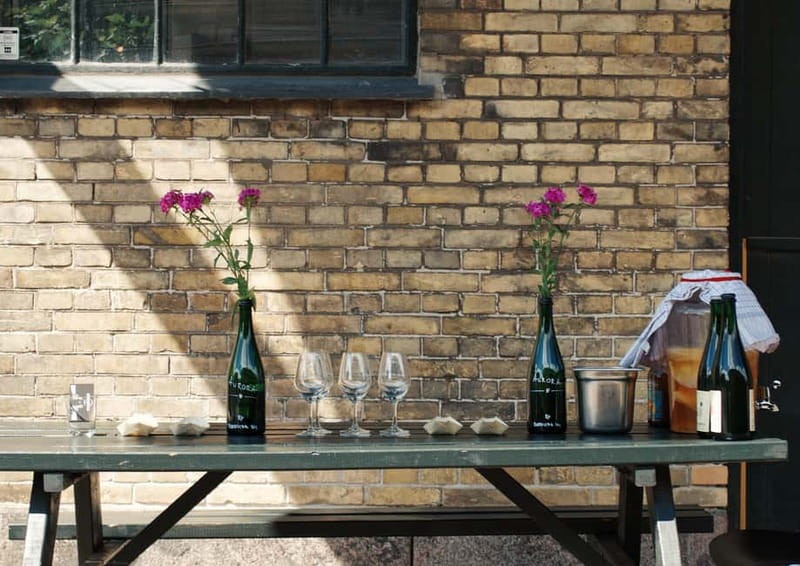 Copenhagen: Locally Brewed Kombucha Tasting Experience - From Apartment Experiment to Microbrewery