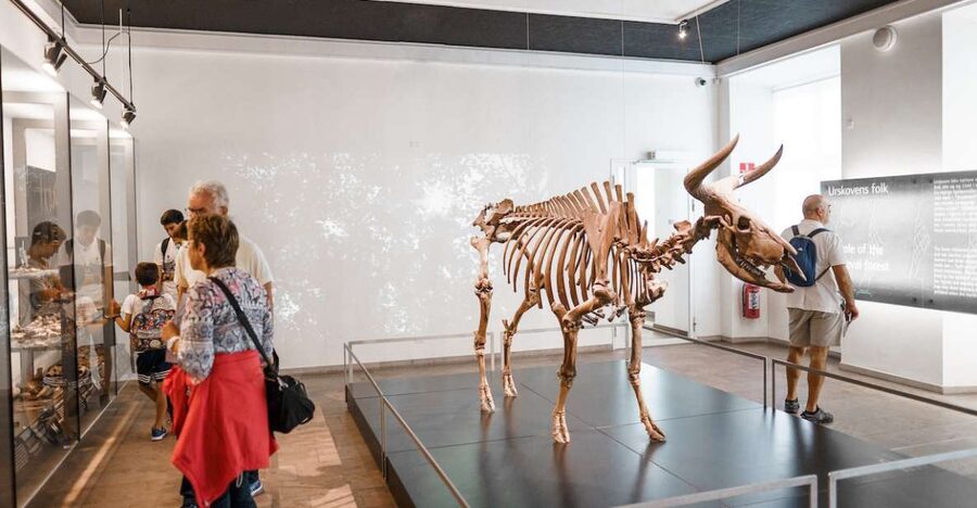 Copenhagen: National Museum of Denmark Entry Ticket - Meet the Vikings and the Völva
