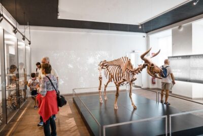 National Museum of Denmark Entry Ticket