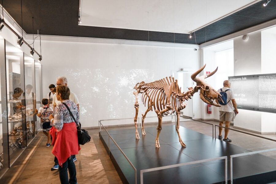 Copenhagen: National Museum of Denmark Entry Ticket - Start with the Stone Age and Bronze Age