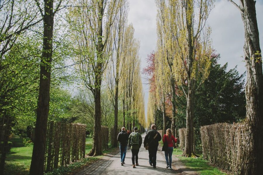 Copenhagen: Nørrebro Neighborhood Tour - Who Should Book This Walk