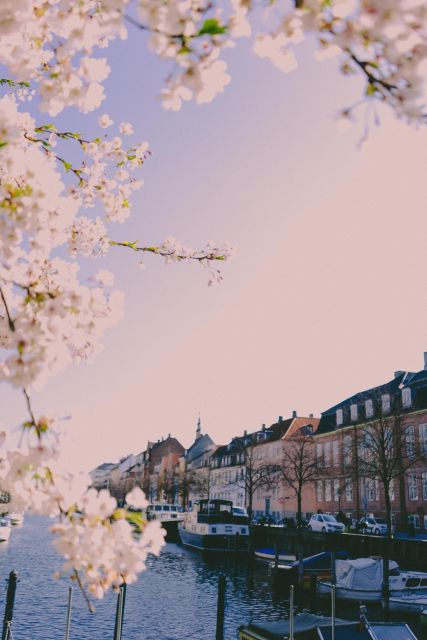 Copenhagen Private 3h biking tour - Is $269 per person a fair price?