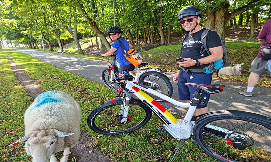 Copenhagen: Private Forgotten Giants E-Bike Treasure Hunt - Høje-Taastrup: the longest ride and the biggest time commitment