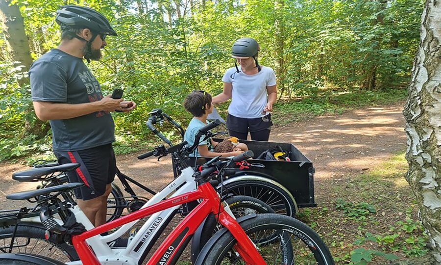Copenhagen: Private Forgotten Giants E-Bike Treasure Hunt - Albertslund and the return through open Zealand