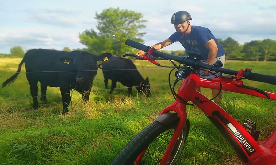 Copenhagen: Private Forgotten Giants E-Bike Treasure Hunt - What the Maravelo e-bike changes
