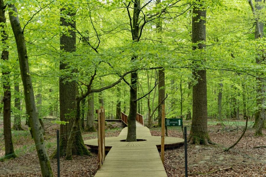 Copenhagen: The Forest Tower & Forgotten Giants Trolls Trip - Finding Sleeping Louis among the suburbs