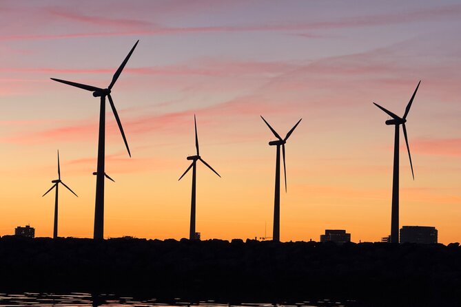 Discover Copenhagen Private Boat Tour Experience - Christiania, Torpedohallen, and the Long Boat Houses