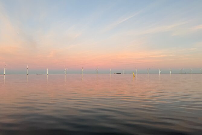 Discover Copenhagen Private Boat Tour Experience - Copenhill and Holmen’s preserved warships