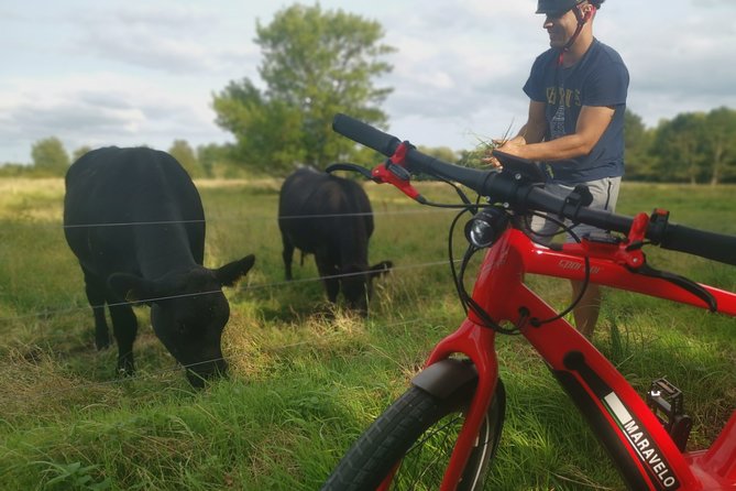 E-biking Central Forgotten Giants' s Adventure - Starting at Bådehavnsgade 42P at 10 a.m.