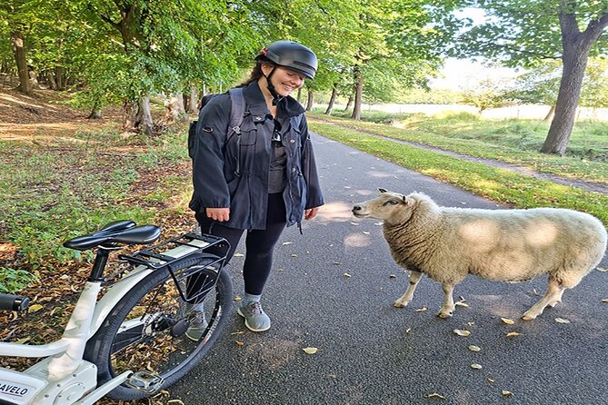 E-biking Northern Forgotten Giants' s Adventure - Teddy Friendly completes the four-giant circuit