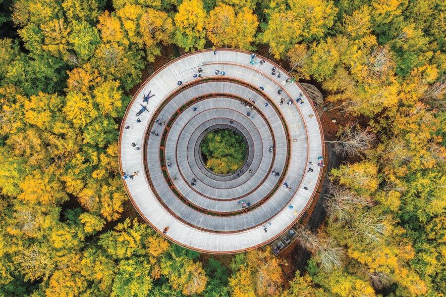 From Copenhagen: Round-Trip to Møns Klint and Forest Tower - Why Møns Klint is worth the long ride