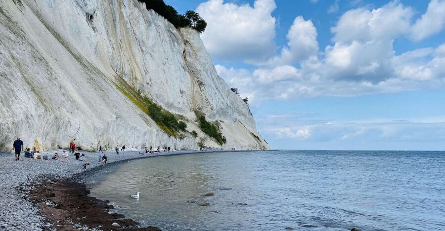 From Copenhagen: Round-Trip to Møns Klint and Forest Tower - Transport convenience and what you are really paying for