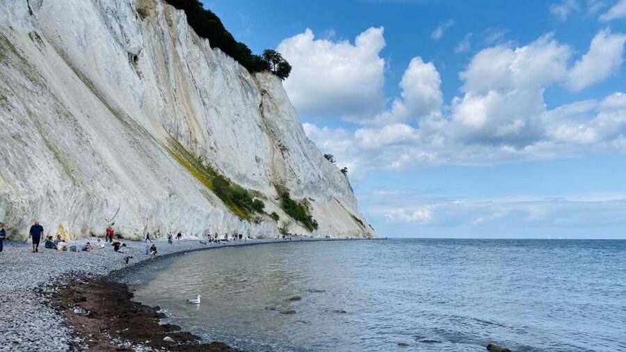 From Copenhagen: Round-Trip to Møns Klint and Forest Tower - Who should book this trip