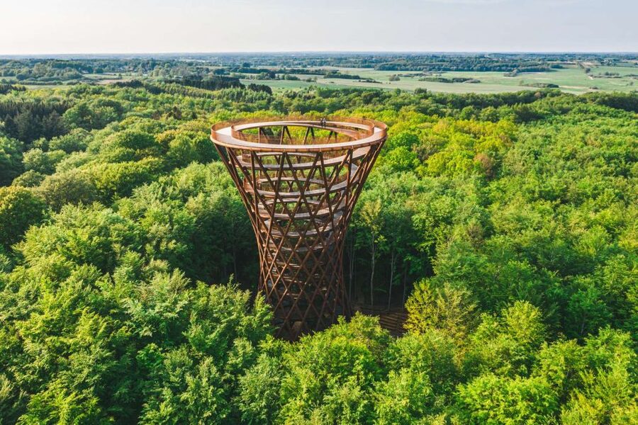 From Copenhagen: Round-Trip to Møns Klint and Forest Tower - My verdict on Møns Klint and Forest Tower