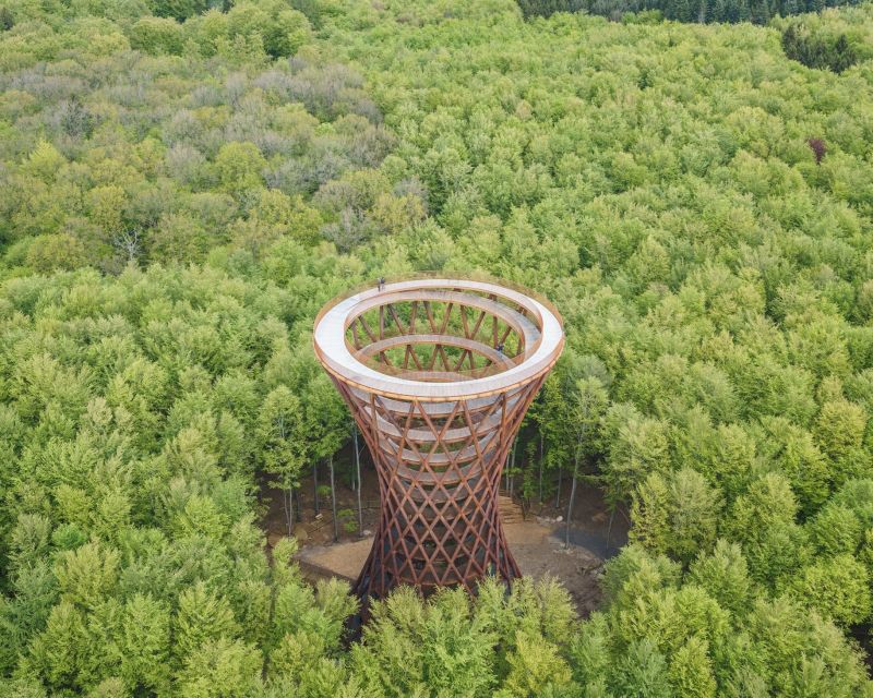 From Copenhagen: Round-Trip to Møns Klint and Forest Tower - What the eight-hour schedule feels like