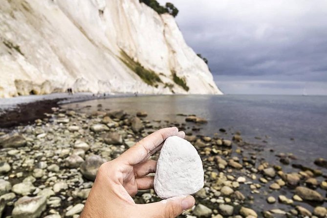 Møns klint and The Forest tower - A day tour from Copenhagen - How good is the guiding?