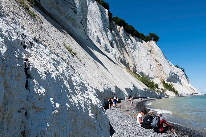 Møns klint and The Forest tower - A day tour from Copenhagen - Transport, group size, and the long day
