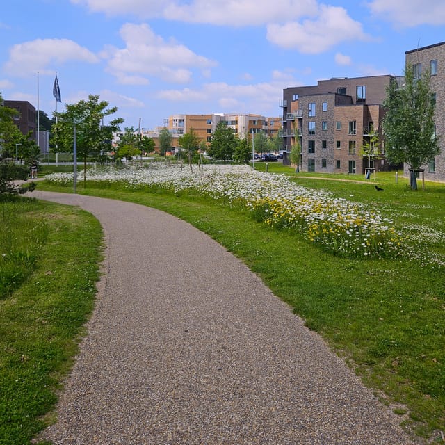 Odense: City walk - The new green Odense - City development - The Port of Odense and the industrial past