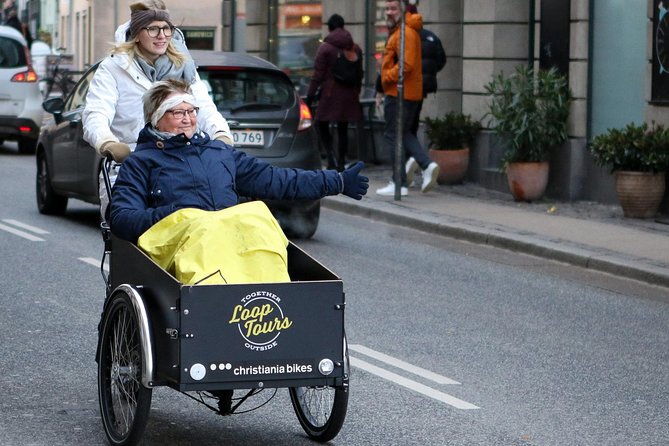 Private Copenhagen Family Cargo Bike Tour – Winter Adventure - Key points before you book