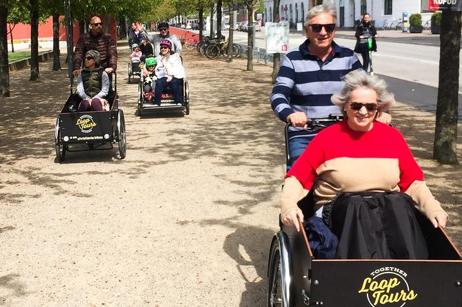 Private Copenhagen Family Cargo Bike Tour – Winter Adventure - Rosenborg Castle and Copenhagen’s cultural center