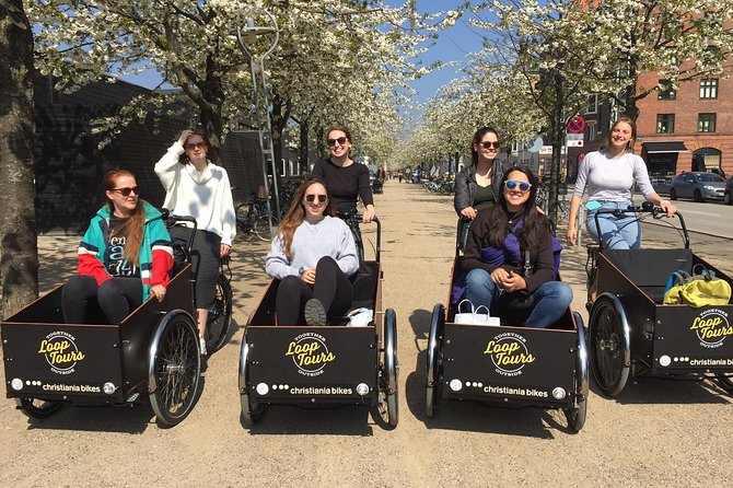 Private Copenhagen Family Cargo Bike Tour – Winter Adventure - The Little Mermaid without the usual confusion