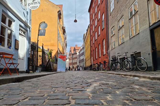 Private E-Biking Copenhagen History and Nature Adventures - The guide and the private-group advantage