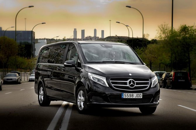 Private Luxury Van Departure from Copenhagen to Copenhagen Port - From central Copenhagen to Oceankaj without the usual fuss