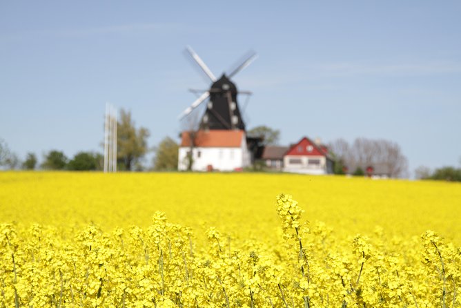 Private tour Copenhagen to Lund & Malmö City daytrip - Guide quality and the private-tour advantage