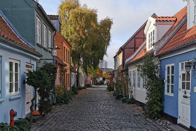 The Ancient Viking Stronghold of Aros: A Self-Guided Audio Tour in Aarhus - What this Aarhus audio tour is really like