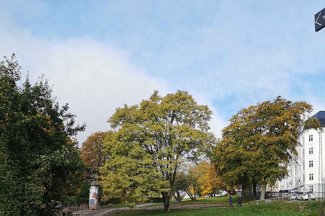 The Ancient Viking Stronghold of Aros: A Self-Guided Audio Tour in Aarhus - Den Gamle By and the Botanical Garden finish
