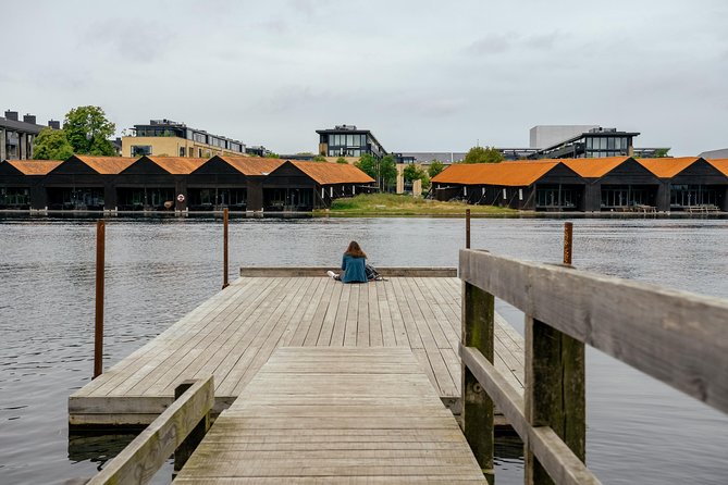 The Beauty of Copenhagen by Bike: Private Tour - Bikes, snacks, and the price question